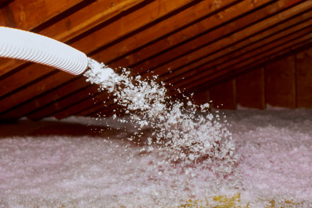 Best Insulation Maintenance and Repair in El Cerro, NM